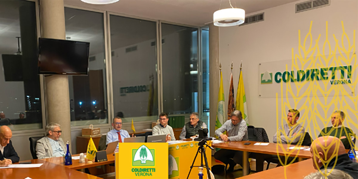 Frutticoltura, in Italia potenziale produttivo inespresso